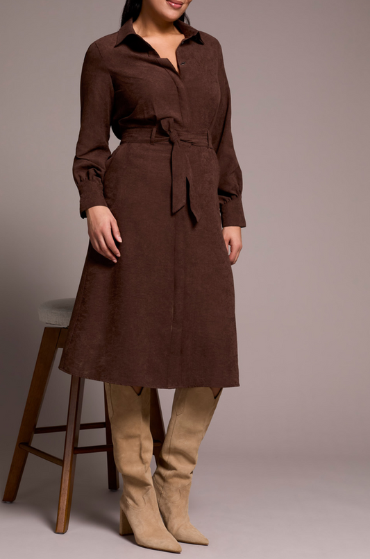 Cocoa Suede Dress